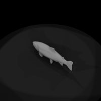 chinook-salmon-miniature-3d-printable-899972 — thumbnail 7