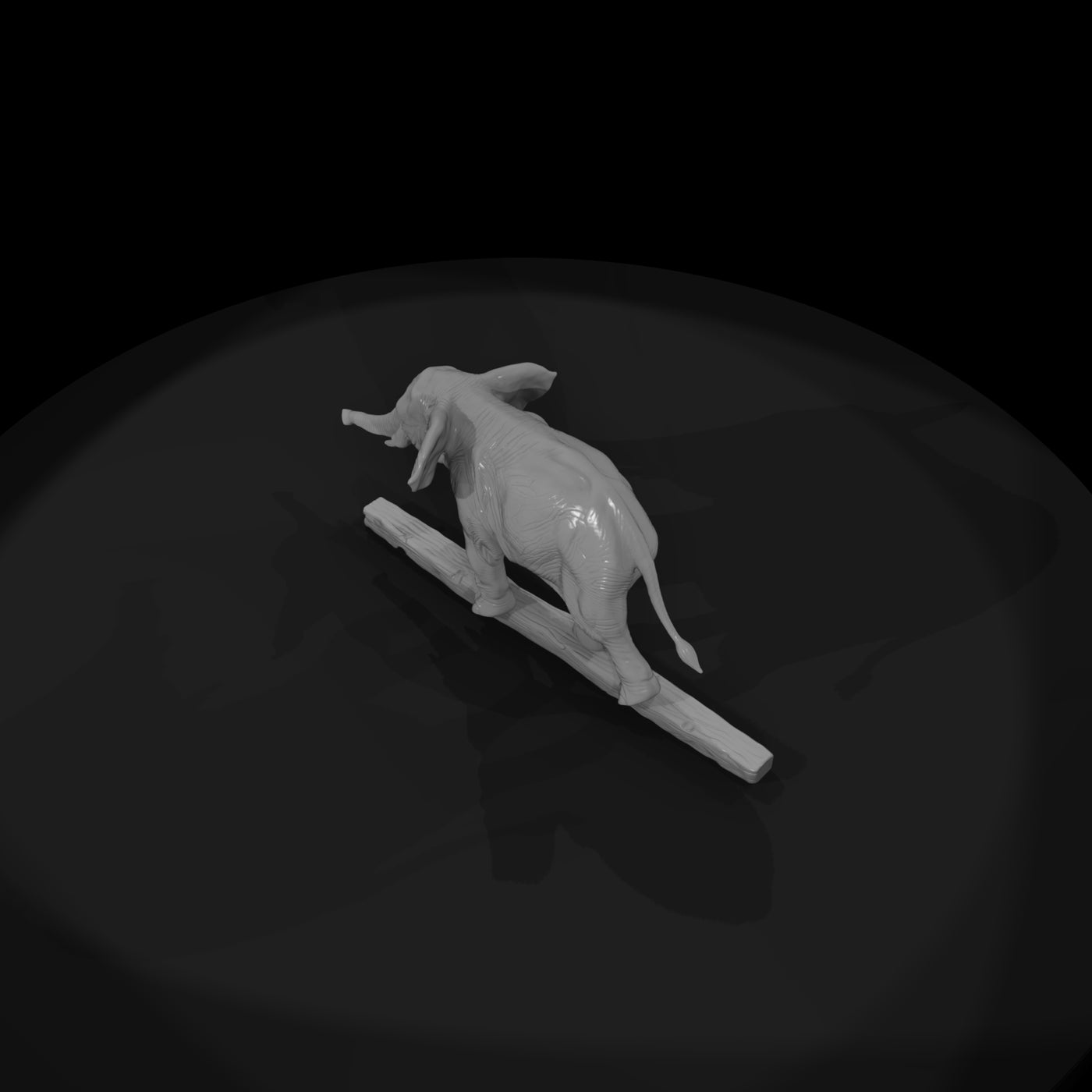 cir-135-animal-tightrope-elephant