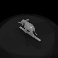 cir-135-animal-tightrope-elephant — thumbnail 6