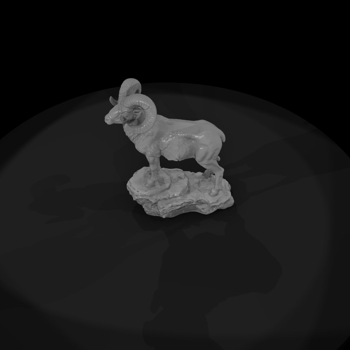 ant-055-bighorn-sheep-male