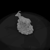 ant-056-bighorn-sheep-female — thumbnail 6