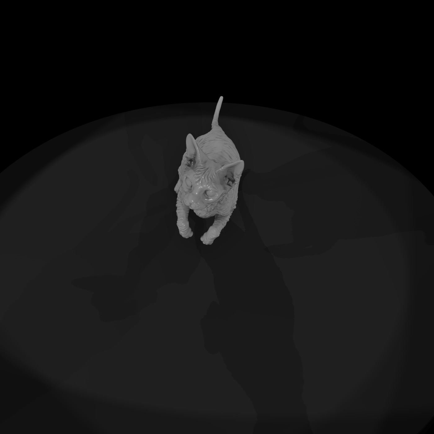 A Collection Of Housecats Cornish 1F45C53C Meshref