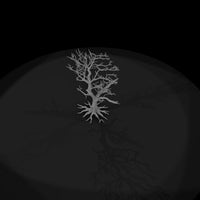 20260612-bare-tree-drawing-3f105c20f0 — thumbnail 6