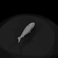 pollock-style-miniature-fish-prop-ho-scale-880168 — thumbnail 7