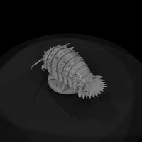 creature-p065-deep-pressure-isopod-beast — thumbnail 6