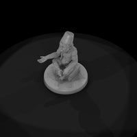 cir-124-animal-organ-grinder-monkey — thumbnail 6