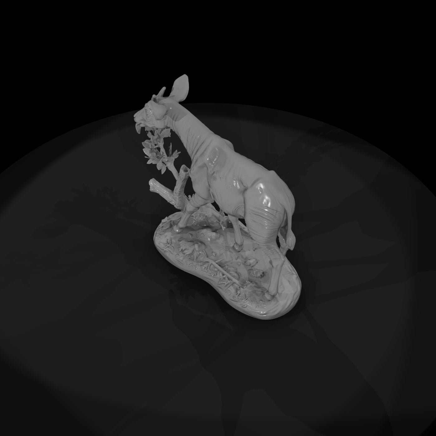 ant-251-okapi-female