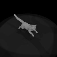 ho-scale-somali-cat-miniature-set-diorama-cats-732896 — thumbnail 7