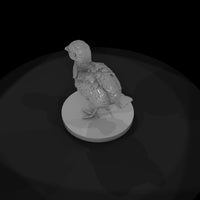 ant-099-ring-necked-pheasant-adolescent — thumbnail 6