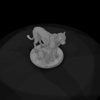 ant-010-cheetah-male — thumbnail 6