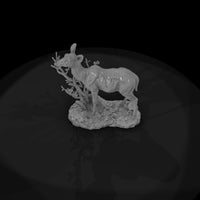 ant-068-greater-kudu-female — thumbnail 6