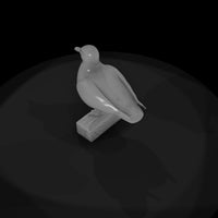 seagull — thumbnail 7