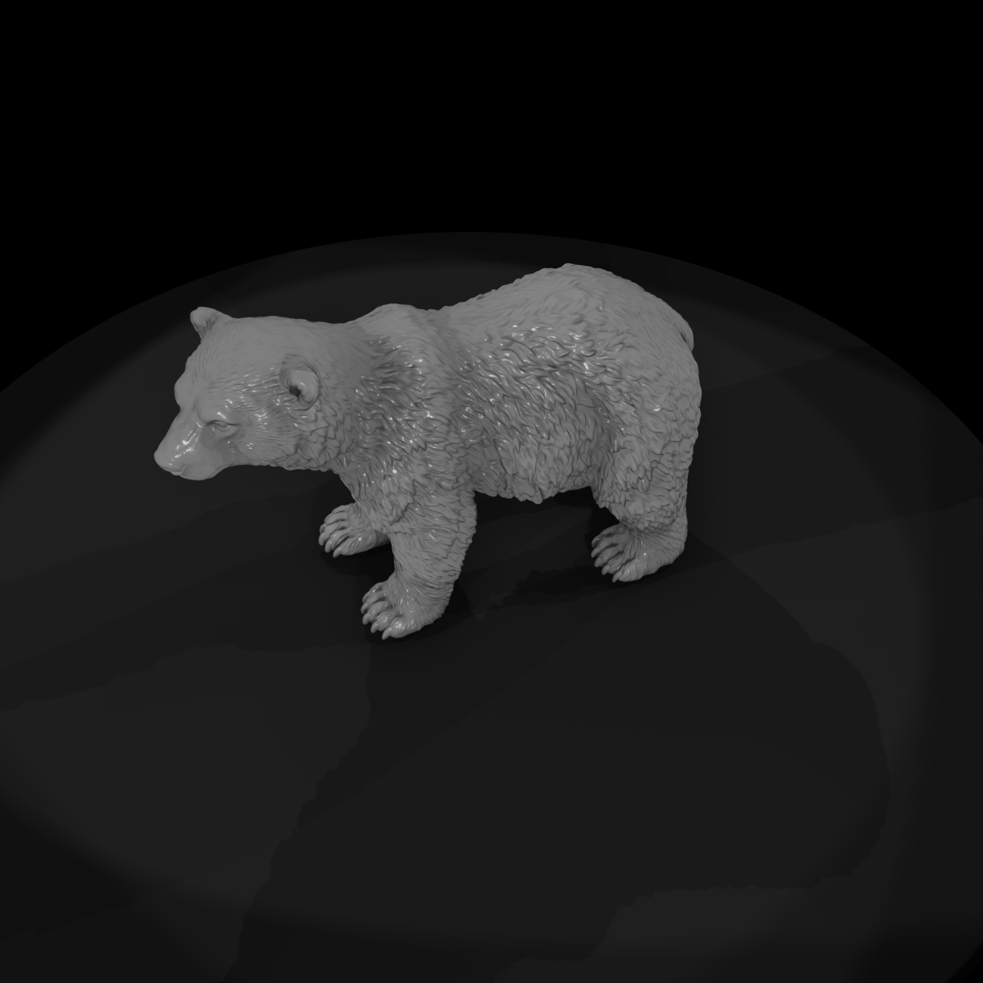 Young Polar Bear Standing