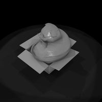 a-collection-of-housecats-scottish-94af14e9-meshre — thumbnail 6