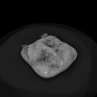 stylized-low-poly-grassy-dirt-terrain-base-lnngiwd-41a711 — thumbnail 6