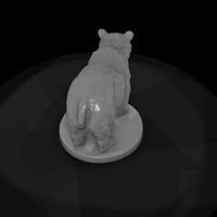 anim-36-black-bear-3df803 — thumbnail 6