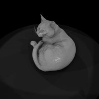 a-collection-of-housecats-sleeping-0cc2f1c3-meshre — thumbnail 6