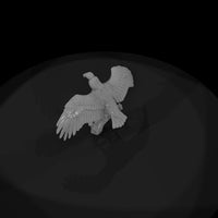 ww-0344-animal-turkey-vulture — thumbnail 6