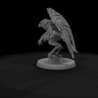 creature-p115-ash-talon-harpy-beast — thumbnail 7