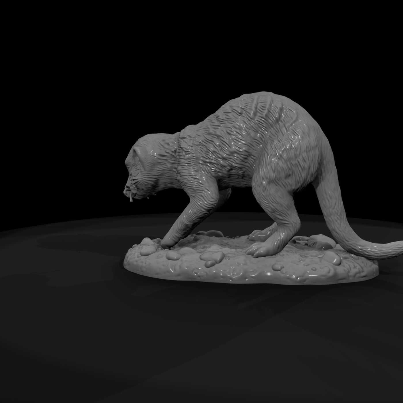 ant-191-meerkat-female