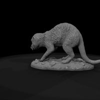 ant-191-meerkat-female — thumbnail 7