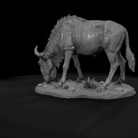 ant-227-blue-wildebeest-female — thumbnail 7