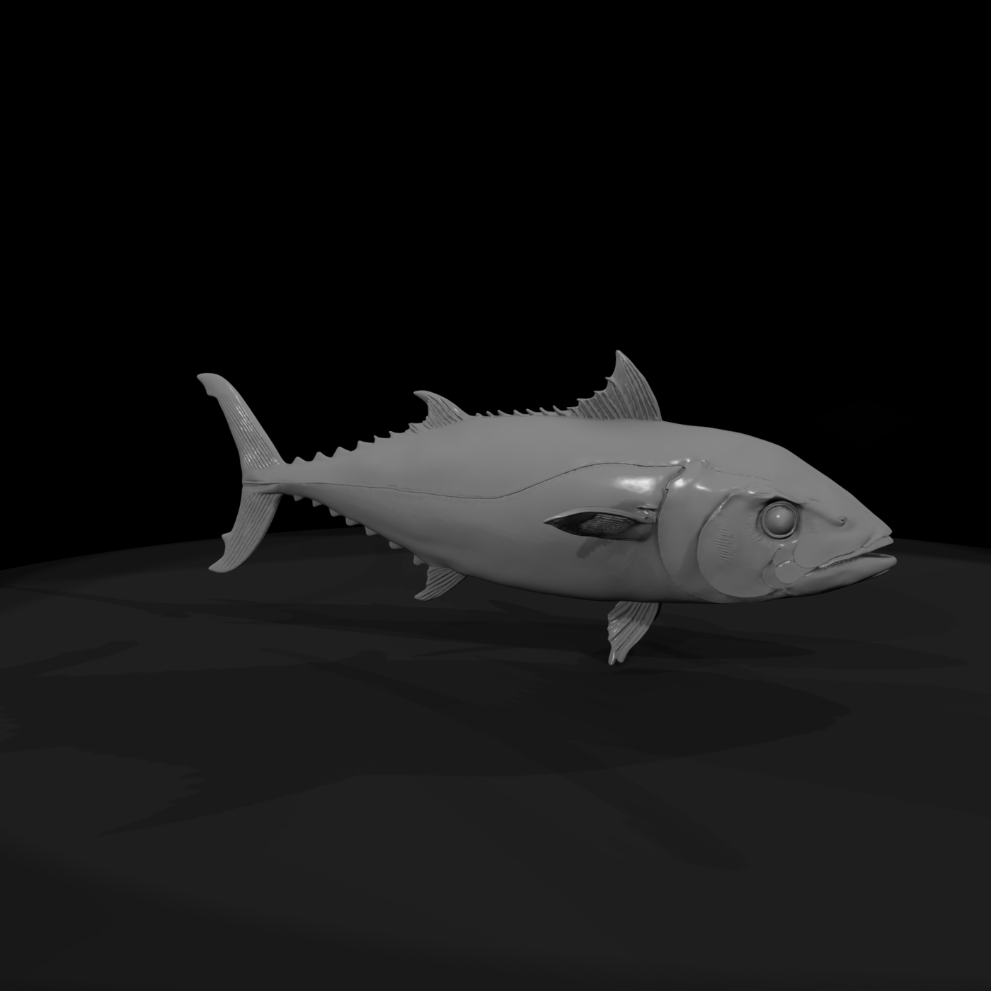 Realistic Tuna Fish & Display