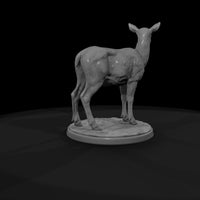 ant-044-elk-female — thumbnail 7