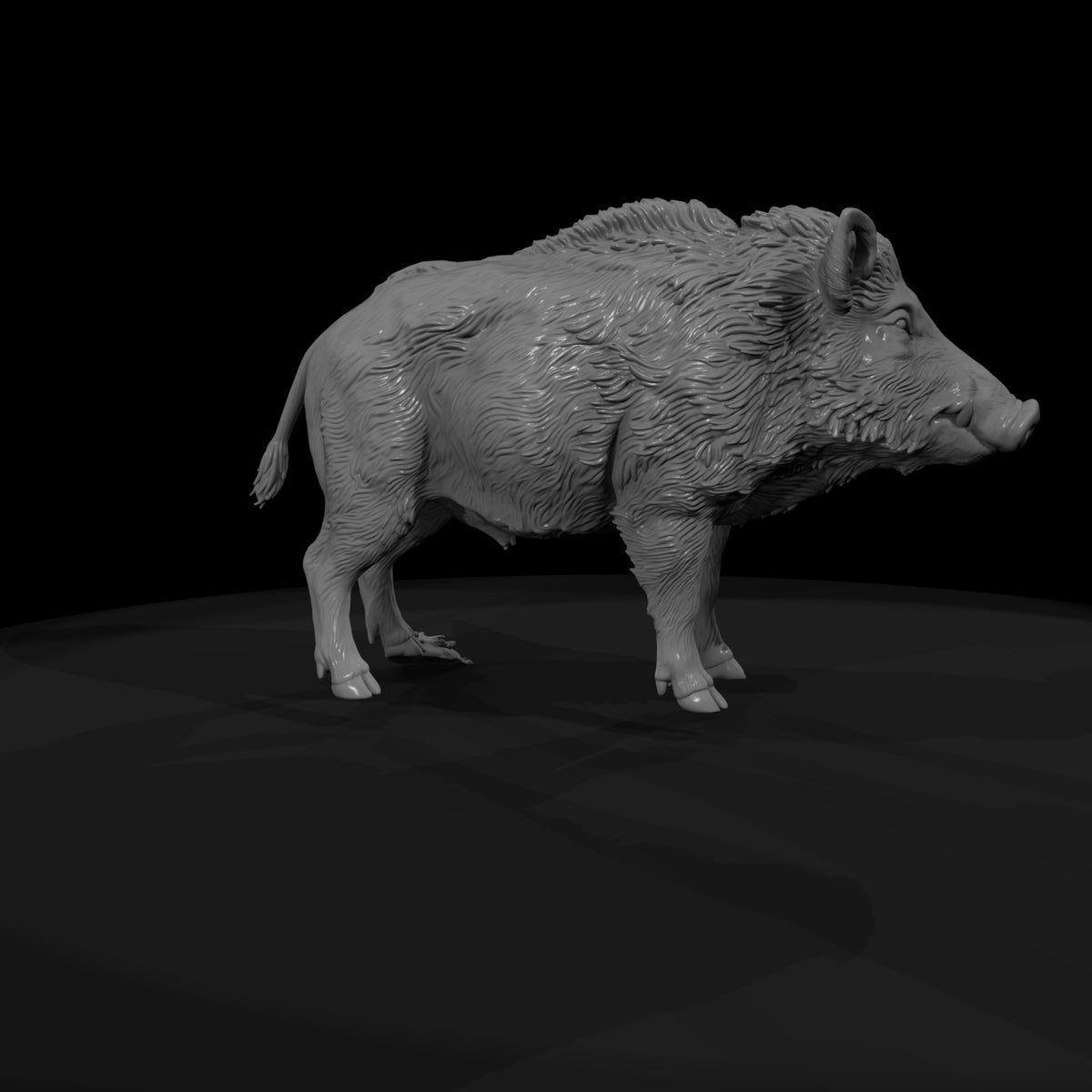 ant-074-wild-boar-female