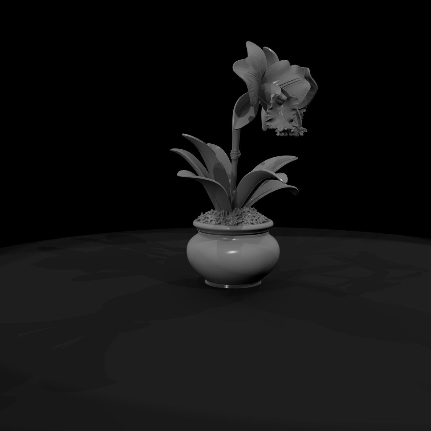 stylized-potted-cattleya-orchid-3d-model-si5zgg4s