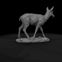 ant-053-pronghorn-female — thumbnail 7