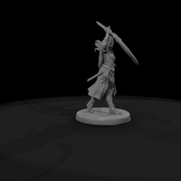 Elf Blademaster with Trailing Sash — thumbnail 8