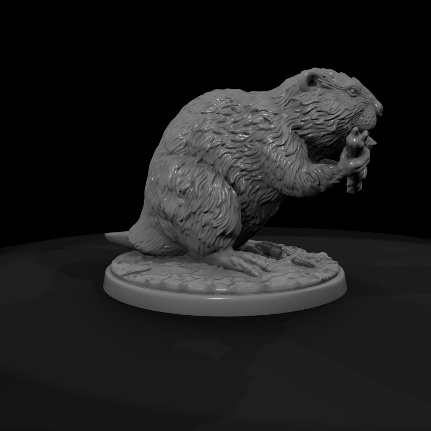 ant-187-beaver-male