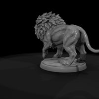 creature-p012 — thumbnail 7