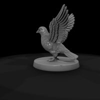 cir-133-animal-magician-s-dove — thumbnail 7