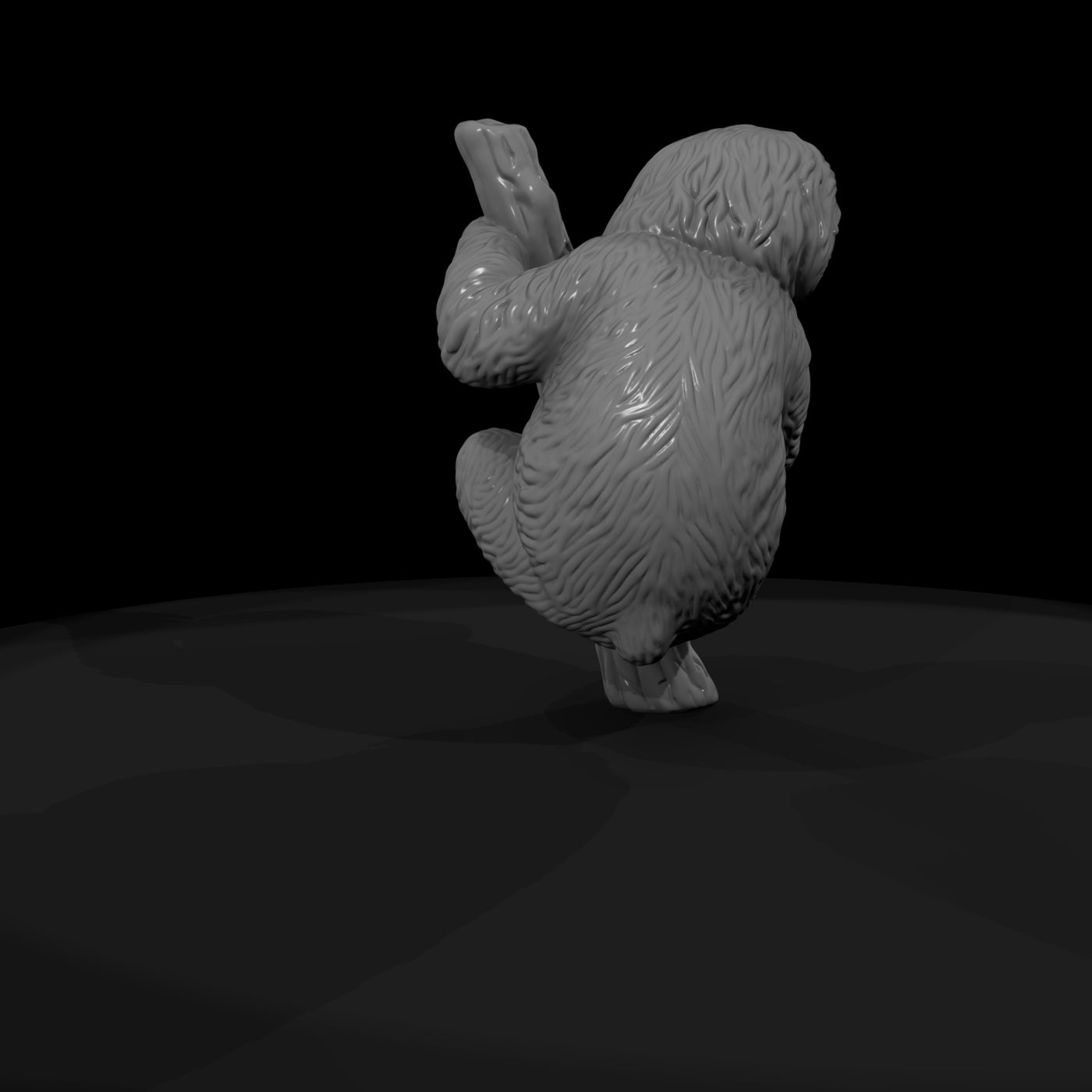 ant-204-three-toed-sloth-adolescent