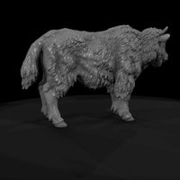 ant-276-yak-adolescent — thumbnail 7