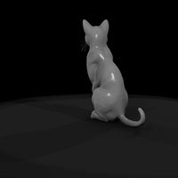 a-collection-of-housecats-siamese-a4268fe7-meshref — thumbnail 7