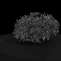 low-poly-dense-garden-shrub-ho-scale-1-87-561667 — thumbnail 7