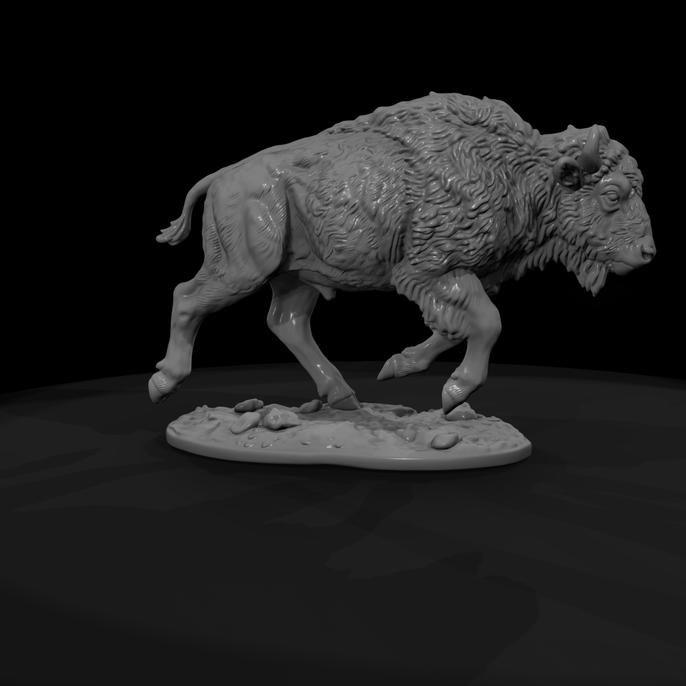 Charging Young American Bison