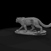 ant-155-snow-leopard-female — thumbnail 7