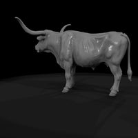 ww-0295-animal-longhorn-cow — thumbnail 7