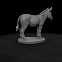 ww-0278-animal-burro — thumbnail 7