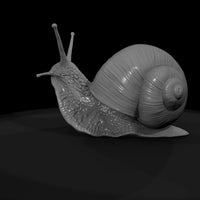 20260612-snail-on-green-leaf-a437ee3019 — thumbnail 7