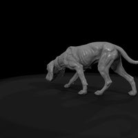 ww-0307-animal-hound-dog — thumbnail 7