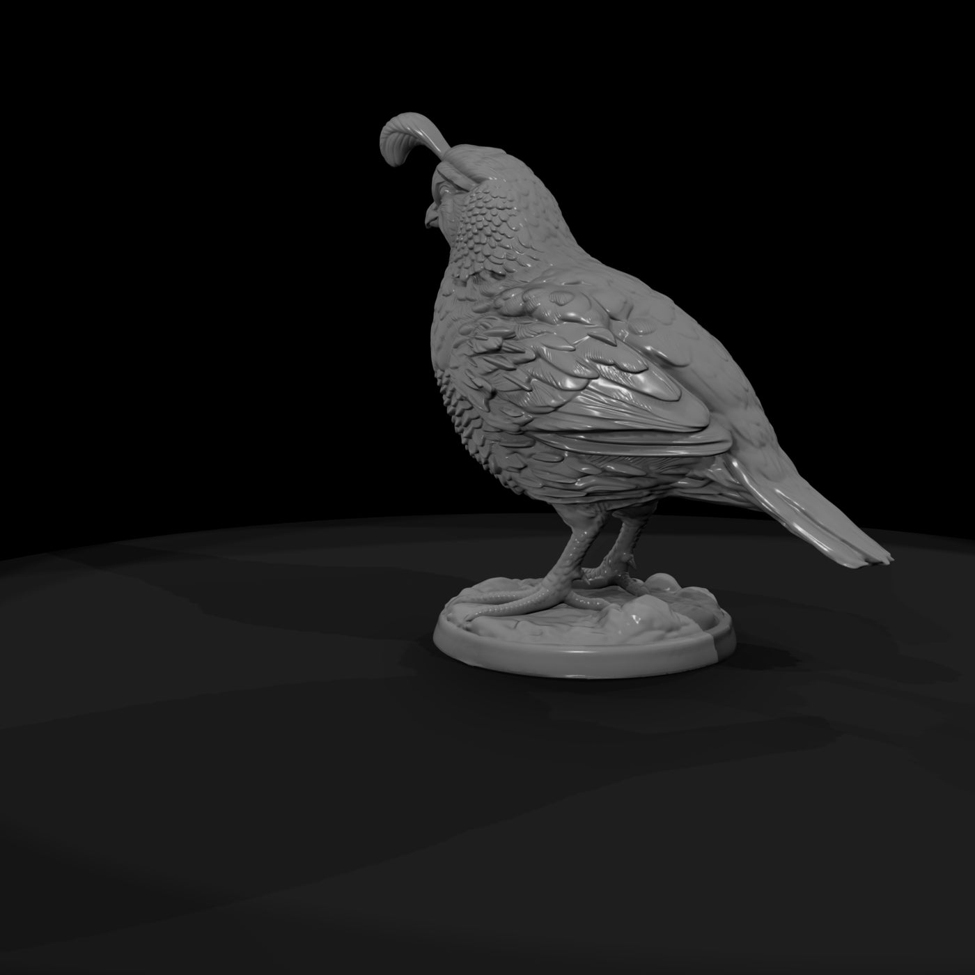 ww-0349-animal-gambel-s-quail