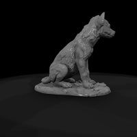ant-264-spotted-hyena-adolescent — thumbnail 7