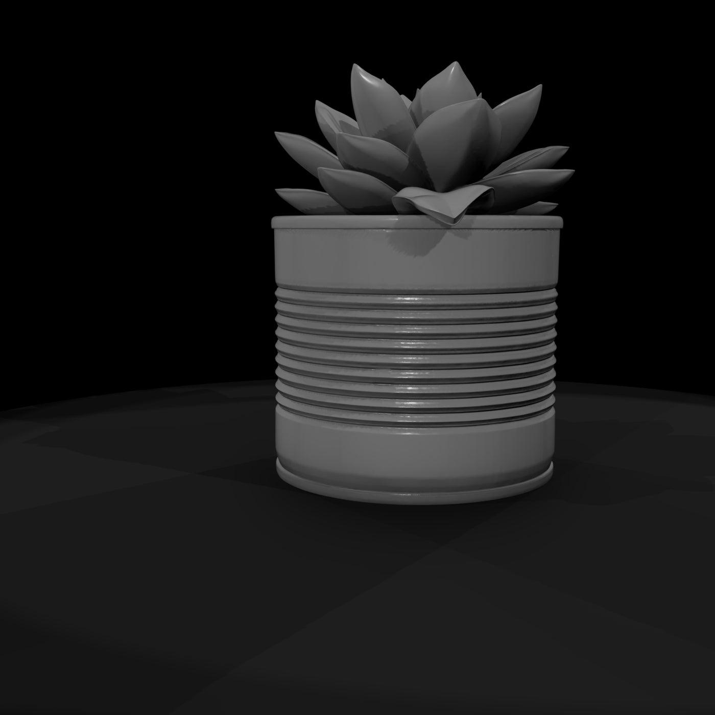 stylized-monochrome-succulent-tin-can-planter-3d-m