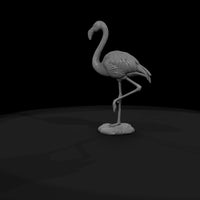 ant-127-greater-flamingo-male — thumbnail 7