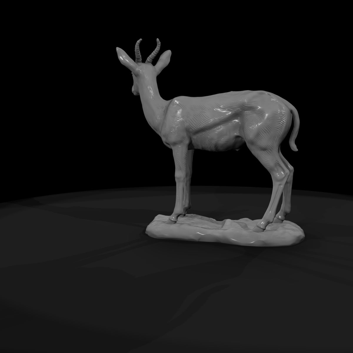 ant-239-springbok-female